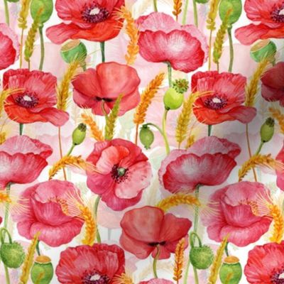 5" Pink And Red Poppies cornfield  - Hand drawn watercolor poppies on white - double  layer