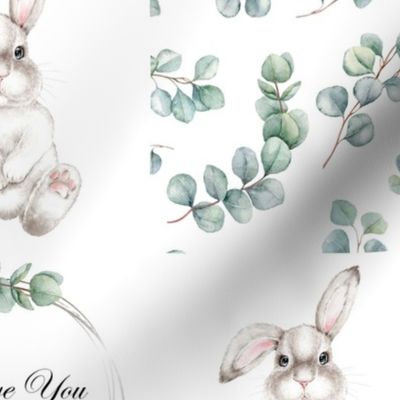 Eucalyptus bunny