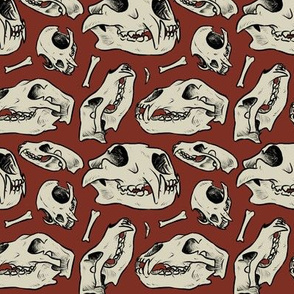 Carnivore skulls - Red
