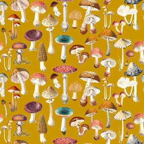 Mushies 9D Mustard // small