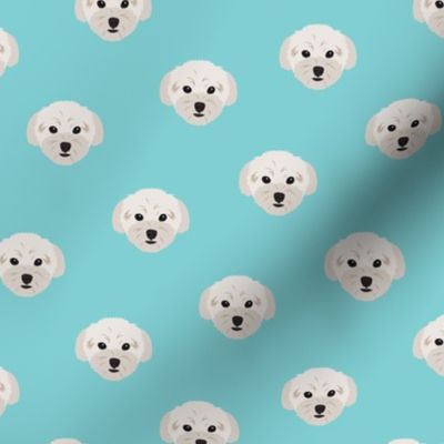 Small Maltese Dogs Pattern - Turquoise