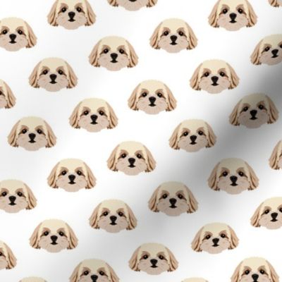 Small Shih Tzu Dog Pattern - White