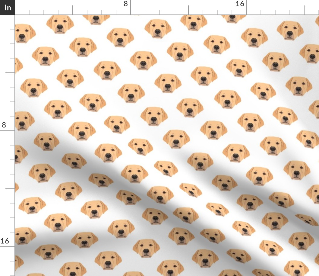 Small Golden Labrador Retriever Dog Pattern - White