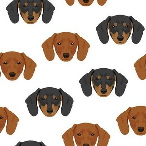 Dachshund Dog Pattern - White