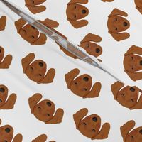 Brown Dachshund Dog Pattern - White