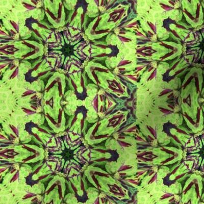 Lime Green and maroon mandala