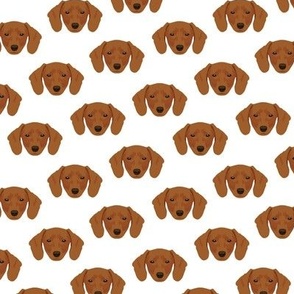 Small Brown Dachshund Dog Pattern - White