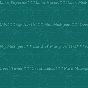 My Michigan: Aqua & Turquoise  Michigan Silhouette Stripe
