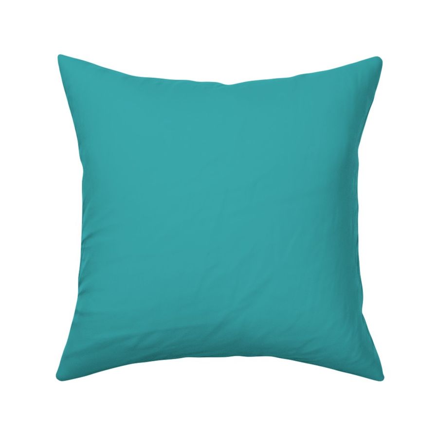 Aqua / Teal / Turquoise Solid Color