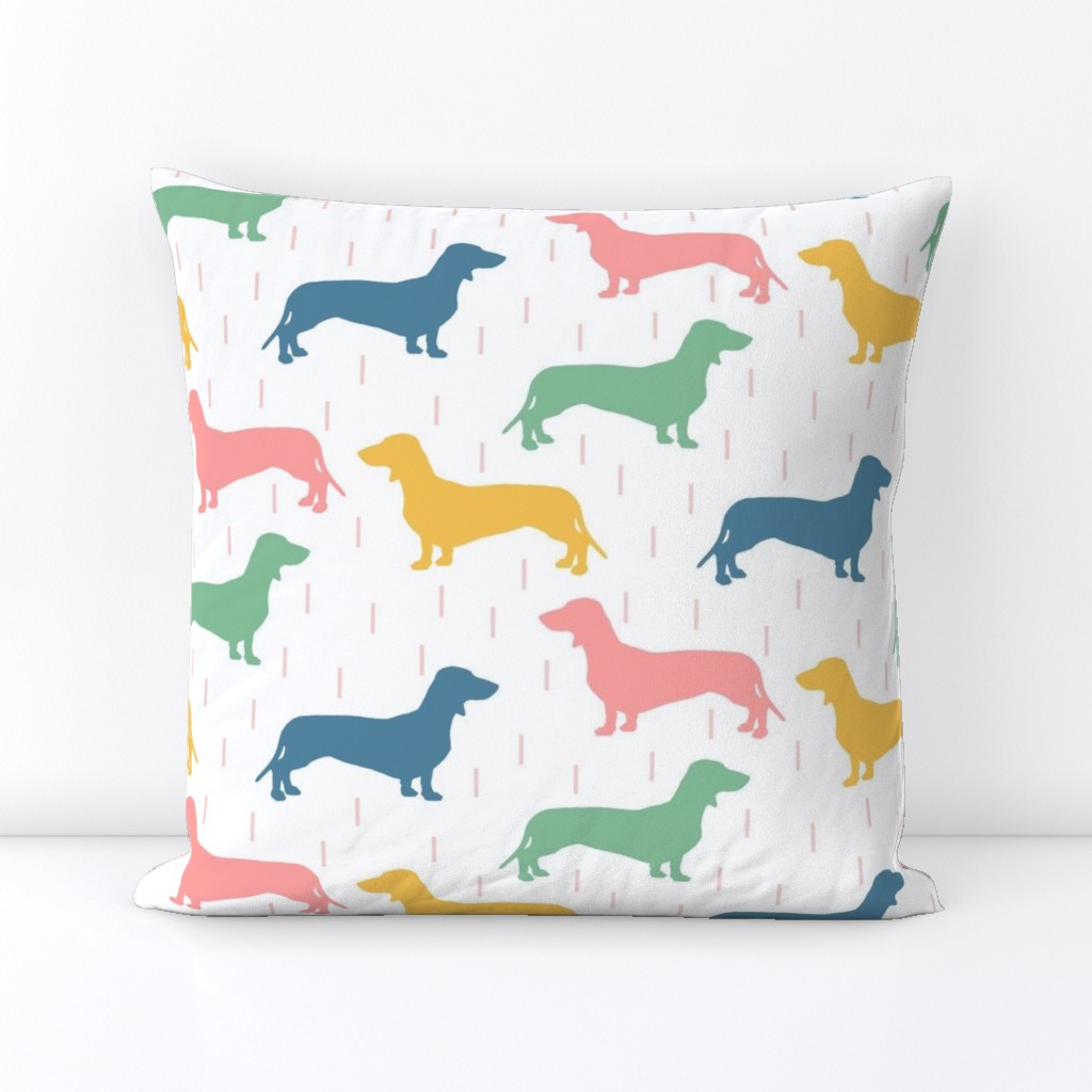 Dachshunds - multi colored