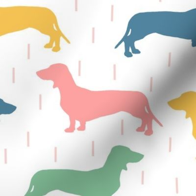 Dachshunds - multi colored