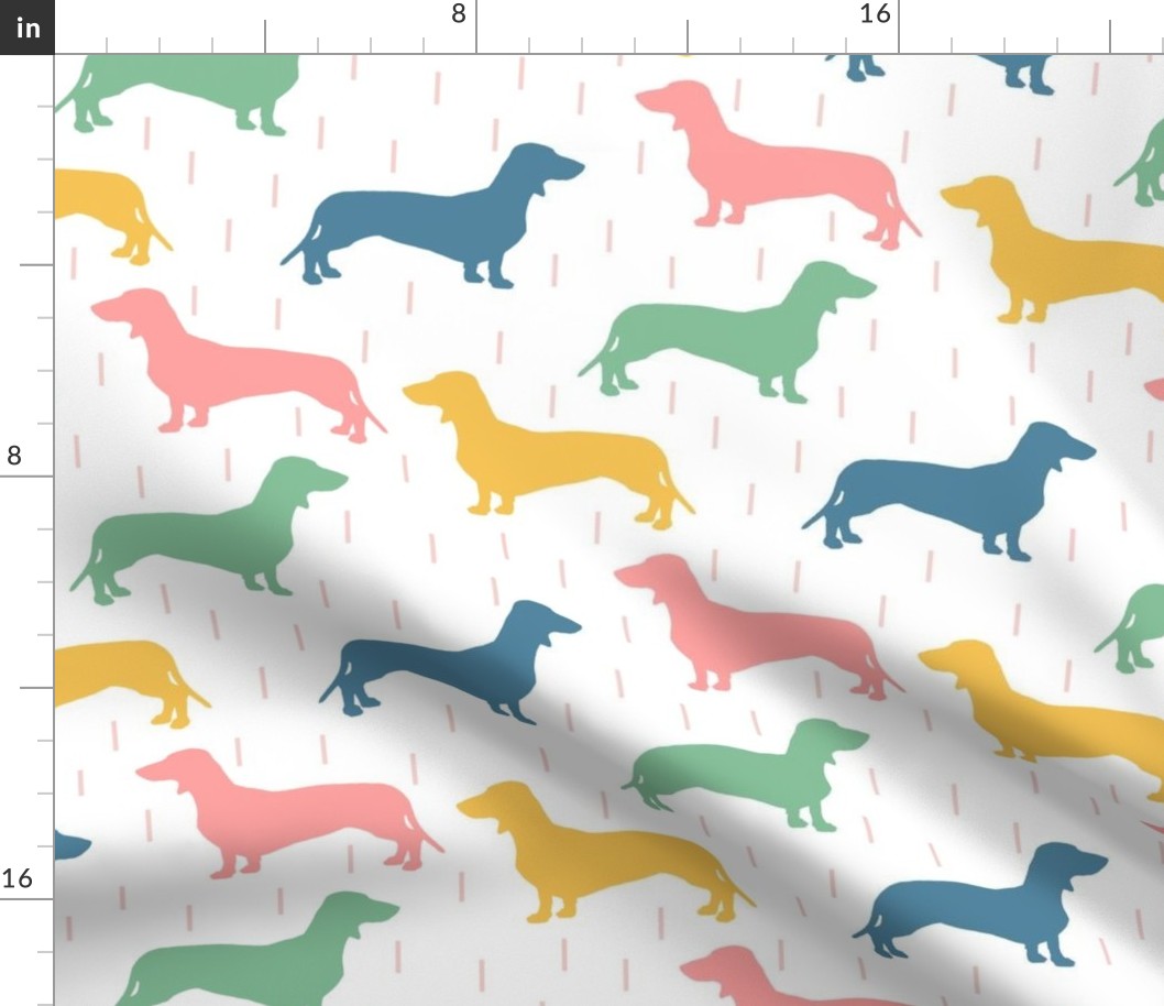 Dachshunds - multi colored