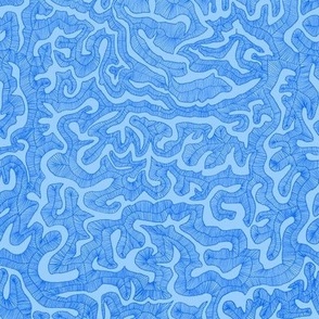 Brain Coral blue