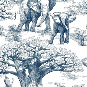 Elephants and Baobab