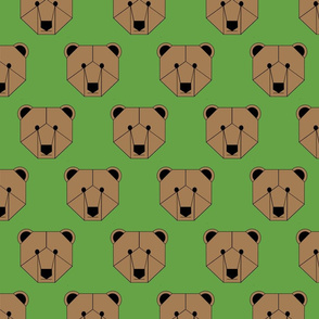 Brown Bear Face on Green