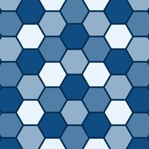 09962026 : R6V : spoonflower0533