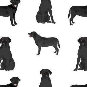 black labrador fabric - dog fabric, dog breed fabric - white