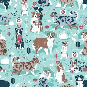 Small scale // VET medicine happy and healthy Aussie friends // aqua background red details navy blue white and brown Australian Shepherds dogs