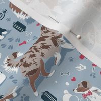 Small scale // VET medicine happy and healthy Aussie friends // pastel blue background red details navy blue white and brown Australian Shepherds dogs