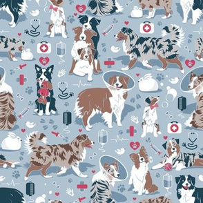 Small scale // VET medicine happy and healthy Aussie friends // pastel blue background red details navy blue white and brown Australian Shepherds dogs