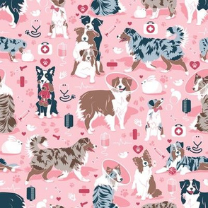 Small scale // VET medicine happy and healthy Aussie friends // pink background red details navy blue white and brown Australian Shepherds dogs