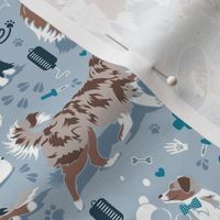 Small scale // VET medicine happy and healthy Aussie friends // blue background turquoise details navy blue white and brown Australian Shepherds dogs