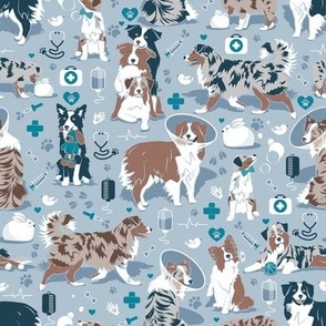 Small scale // VET medicine happy and healthy Aussie friends // blue background turquoise details navy blue white and brown Australian Shepherds dogs