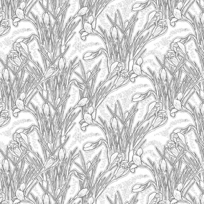 White  Crocuse Botanical Floral Pattern Spring Flowers Monochrome
