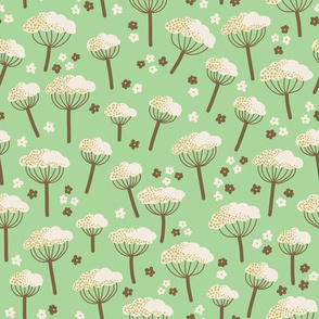 Cow Parsley - Vintage Mint