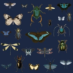 Bugs and Moths Vintage collection Dark Blue