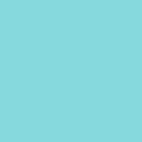 Cafe Collection Solid | Sky Blue #85D8DC