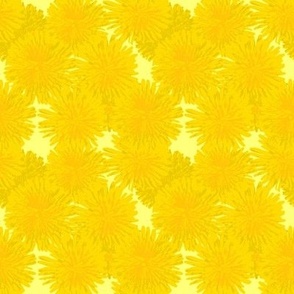 Delightful Dandelions