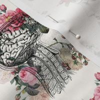 Anatomical Brain on Cream