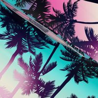 Sunset Palm / Pink Turquoise Ombre Background / Large Scale