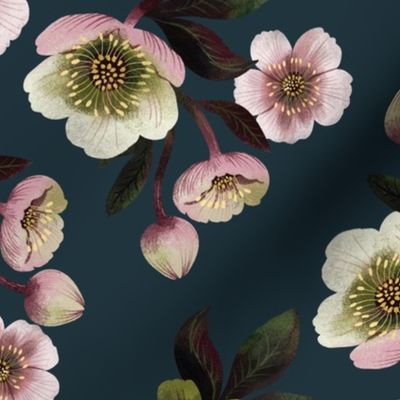 Hellebores on dark teal