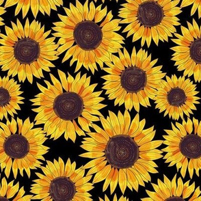 sunflower 8