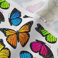 Rainbow Monarch Butterflies Small Scale