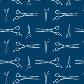 Hair Cutting Shears in White with Navy Blue Background