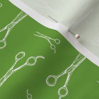 Hair Cutting Shears in White with Apple Green Background