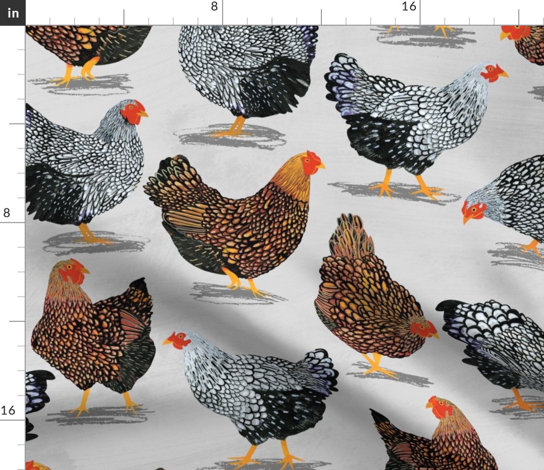 Plucky Chickens Grey