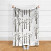 White Birch Forest Tree Trunks in Grey and White