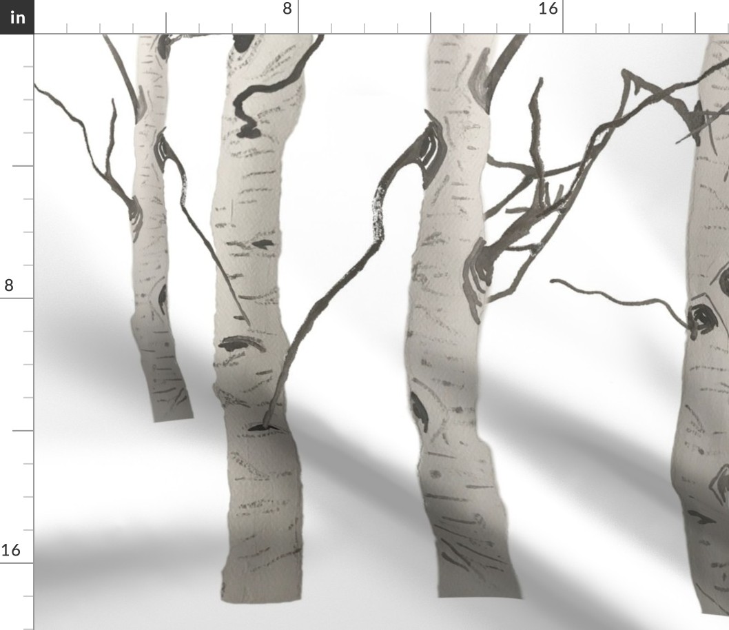 White Birch Forest Tree Trunks in Grey and White