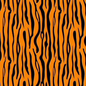 tiger stripe 