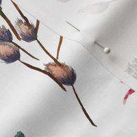 Fresh Cut Flowers A|Coneflower Eucalyptus Willow|Renee Davis