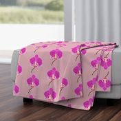 Elegant Orchid - Solitary Beauty - Dusky Pink, large 