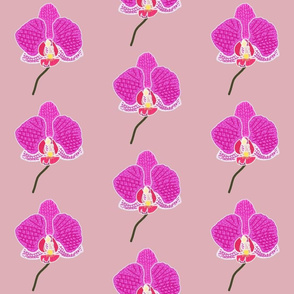 Elegant Orchid - Solitary Beauty - Dusky Pink, large 