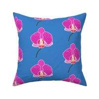 Elegant Orchid - Solitary Beauty - Teal Blue, large 