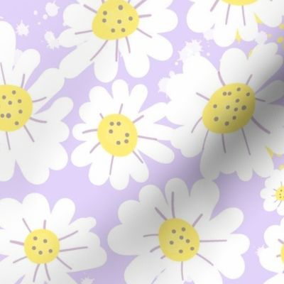 Lilac Daisy