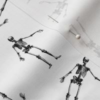 Antique Skeletons in Black & White (Small Scale)