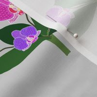 Elegant Orchids - Simple Spray - Silver Grey, large